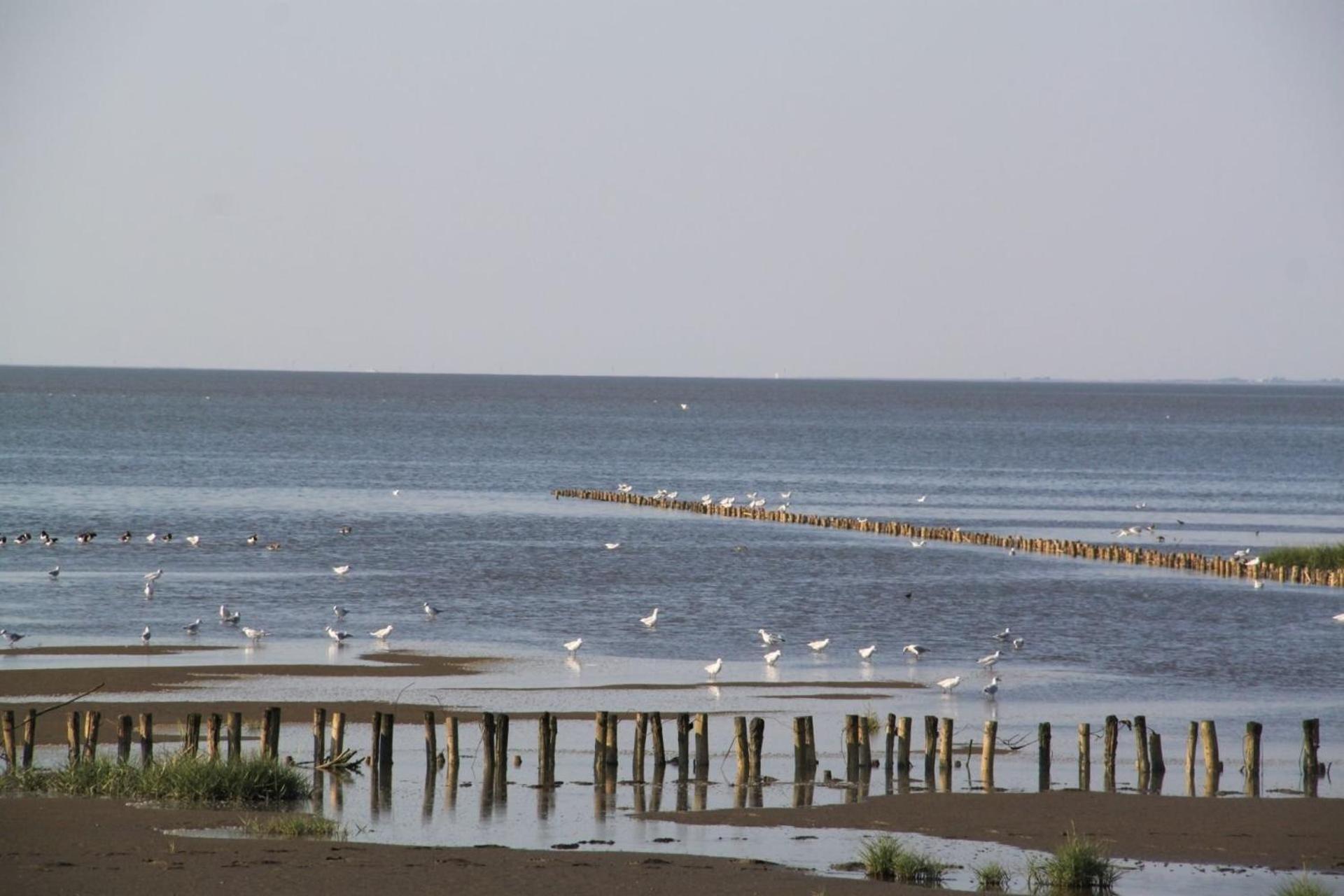 Ferienhof Schoof No2 Friedrichskoog Kültér fotó